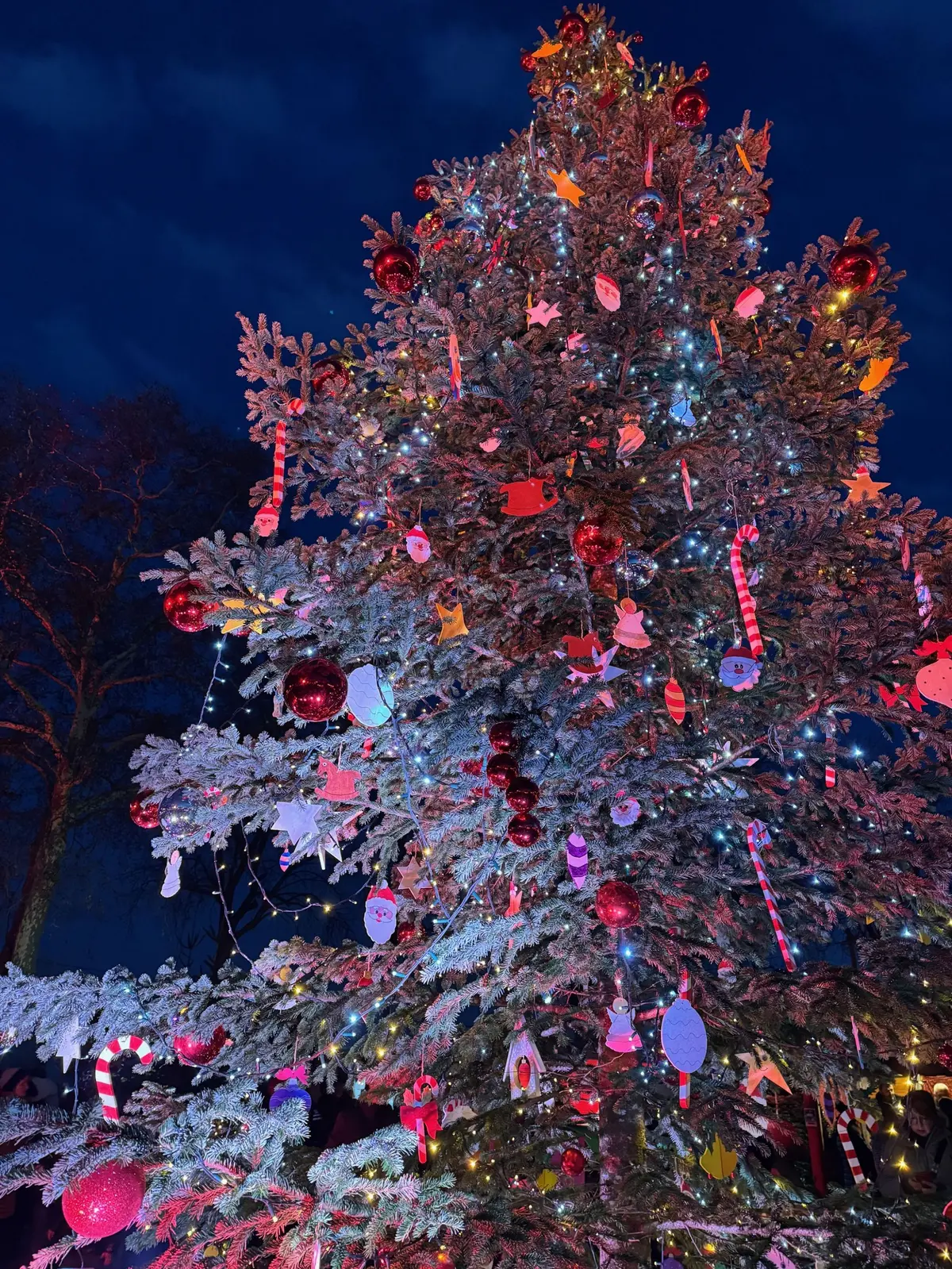 Un majestueux sapin habille le centre du marché de Noël