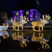 Le marché de Noël artisanal d'Ottmarsheim cherche ses exposants pour 2026
