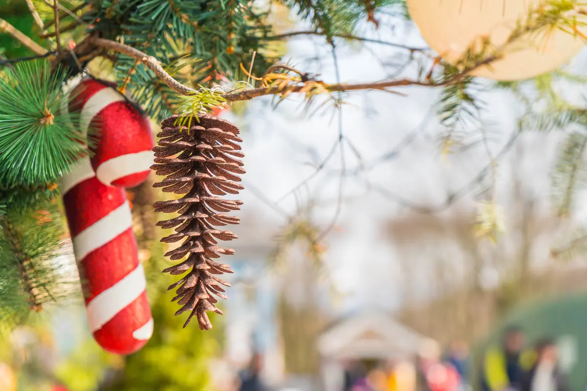Marché De Noël Du Lycée Agricole