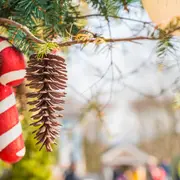 Marché De Noël Du Lycée Agricole