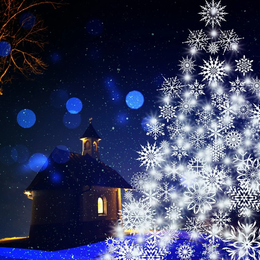 Marché de Noël & vente de sapins