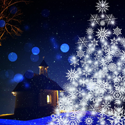 Marché de Noël & vente de sapins