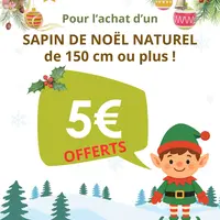 Pour l'achat d'un sapin de Noël naturel, 5€ en bon d'achat offert DR