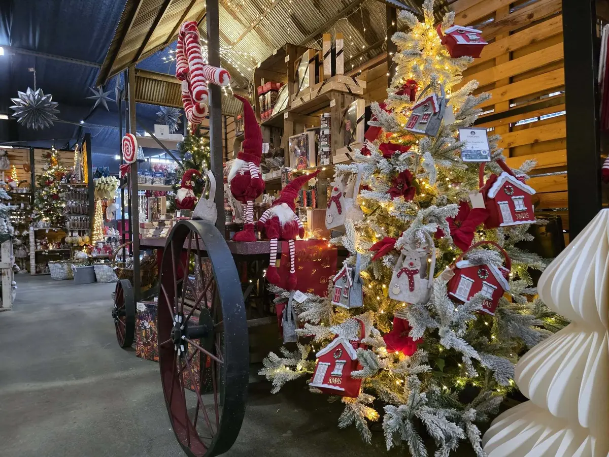 La magie de Noël dans les jardineries d'Altkirch, Cernay et Sierentz