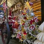 La magie de Noël dans les jardineries d'Altkirch, Cernay et Sierentz