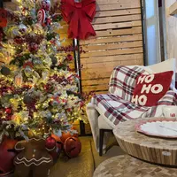 La magie de Noël dans les jardineries d'Altkirch, Cernay et Sierentz &copy; Jardinerie de l'Ill