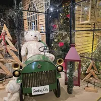 La magie de Noël dans les jardineries d'Altkirch, Cernay et Sierentz &copy; Jardinerie de l'Ill