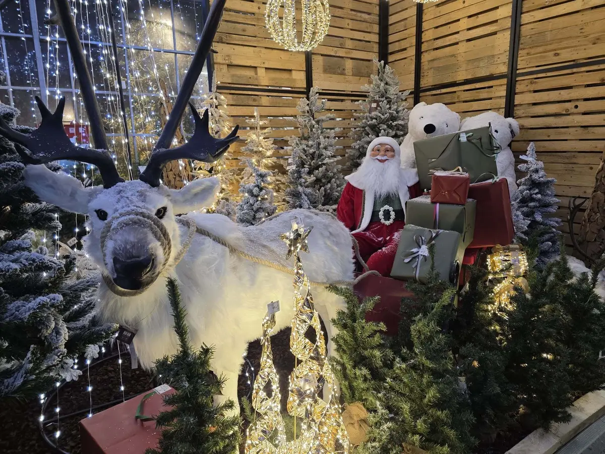 La magie de Noël dans les jardineries d'Altkirch, Cernay et Sierentz