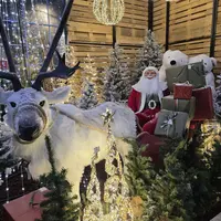 La magie de Noël dans les jardineries d'Altkirch, Cernay et Sierentz &copy; Jardinerie de l'Ill