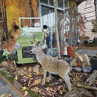 La magie de Noël dans les jardineries d'Altkirch, Cernay et Sierentz &copy; Jardinerie des 3 Frontières