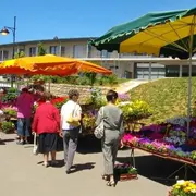 Marché De Pays De La Fête Du Pain Du Massegros