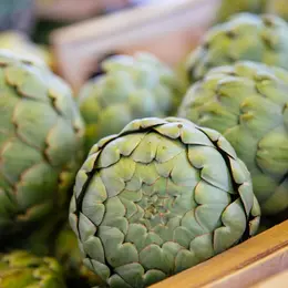 Marché de Pian-sur-Garonne le dimanche