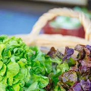 Marché de Préchac le mardi