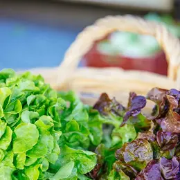 Marché de Préchac le mardi