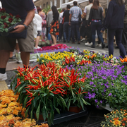 Marché de Printemps