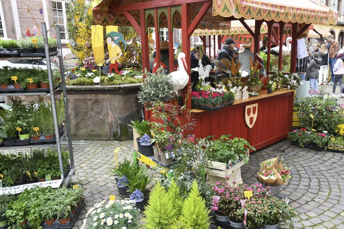 March&eacute; de Printemps &agrave; Ribeauvill&eacute;
