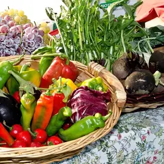Marché de producteurs à Floressas