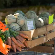 Marché de producteurs à La Chapelle-Saint-Géraud