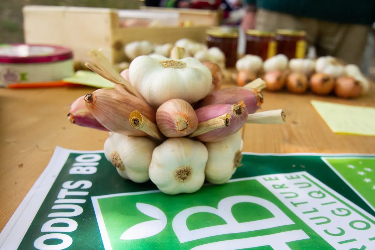 Marché de producteurs bio