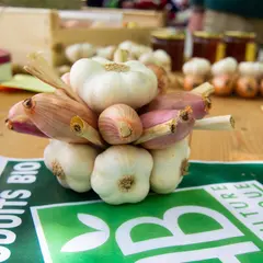 Marché de producteurs bio