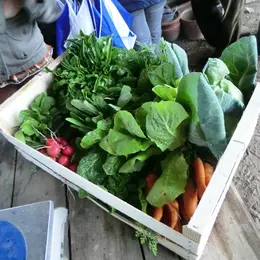 Marché de Producteurs de Chenaud