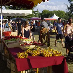 Marché de Producteurs - Dissay