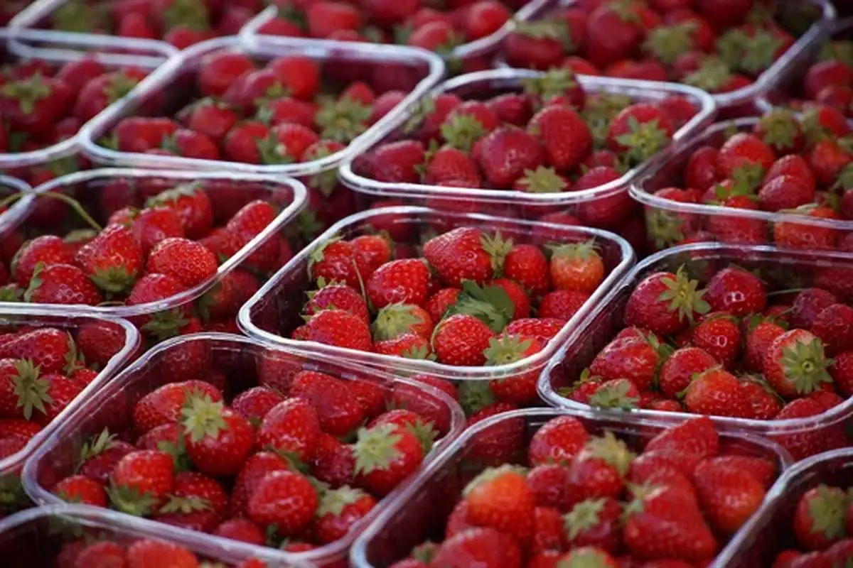 Marché de producteurs du samedi matin