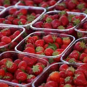 Marché de producteurs du samedi matin