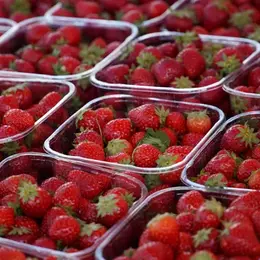 Marché de producteurs du samedi matin