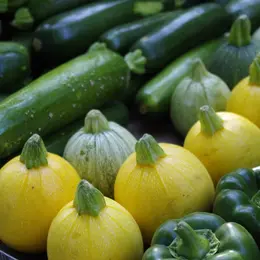 Marché de Producteurs - Fontaine-le-Comte