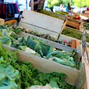 Marché De Producteurs Locaux