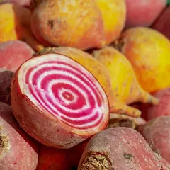 Marché de producteurs locaux, chaque 1er dimanche du mois