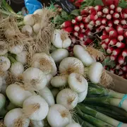 Marché de producteurs locaux Lubersac