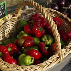 Marché de Producteurs - Montamisé