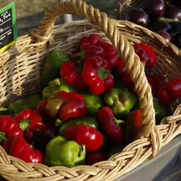 Marché de Producteurs - Montamisé