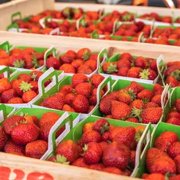 Marché de Quintaou