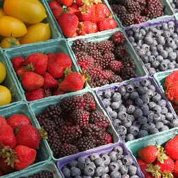 Marché de Saint-Hilaire-Saint-Mesmin - Dimanche