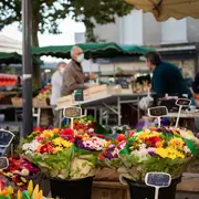 Marché de Saint-Maixent-l'Ecole