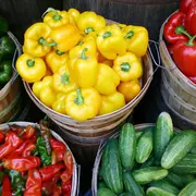 Marché de Senonches
