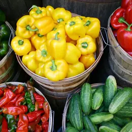 Marché de Senonches