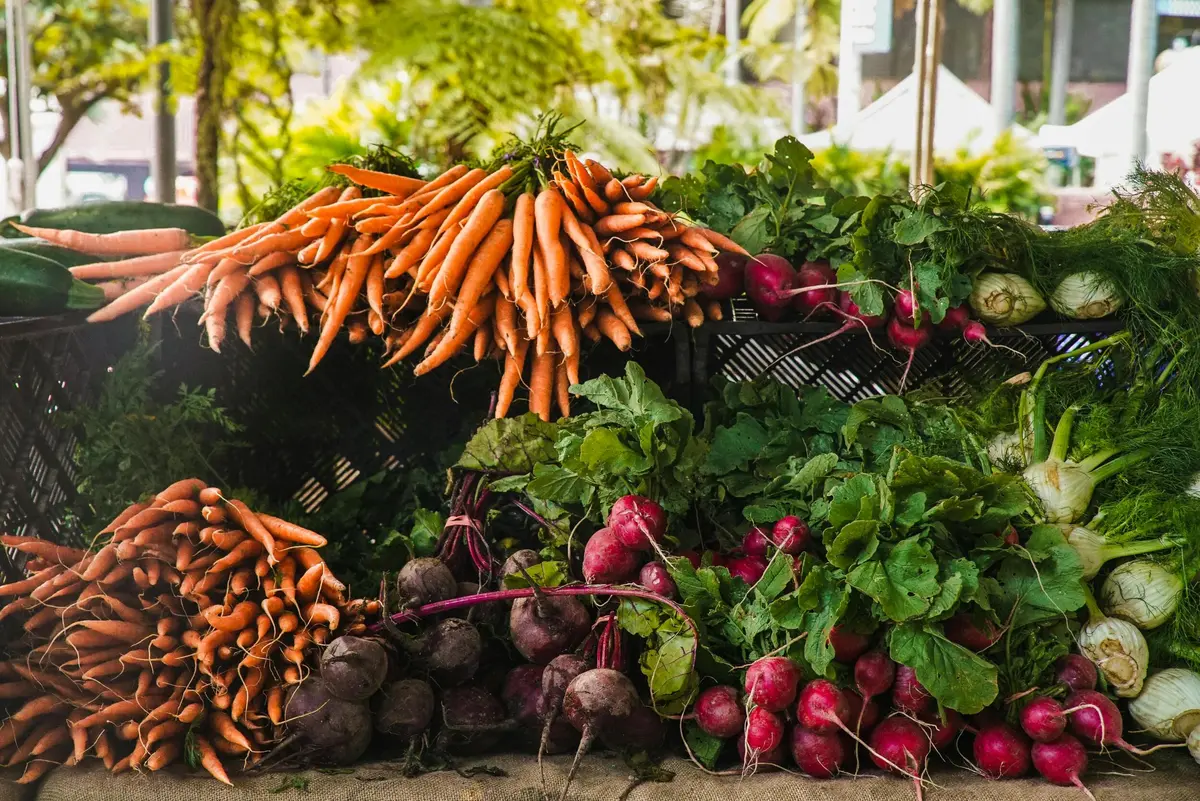 Marché Des Halles De La Méditerranée