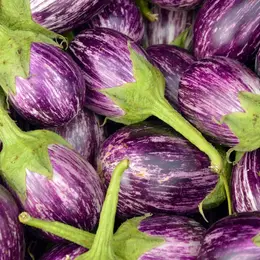 Marché des Longes - Limoges