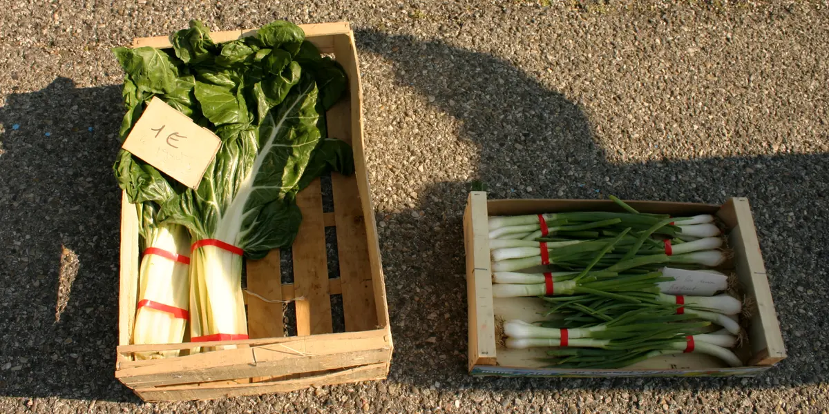 Marché des producteurs
