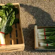 Marché des producteurs