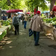 Marché des producteurs à Gastes