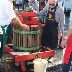 Marché des producteurs d'automne