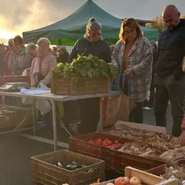 Marché des producteurs de novembre