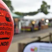 Marché des producteurs de Pays