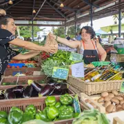 Marché des producteurs de Pays