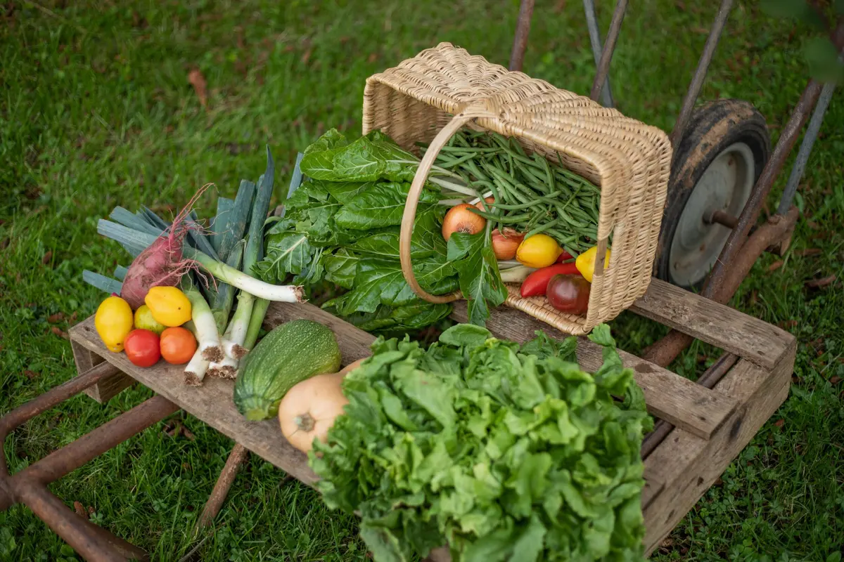 Marché des Producteurs de Pays à Cherveux
